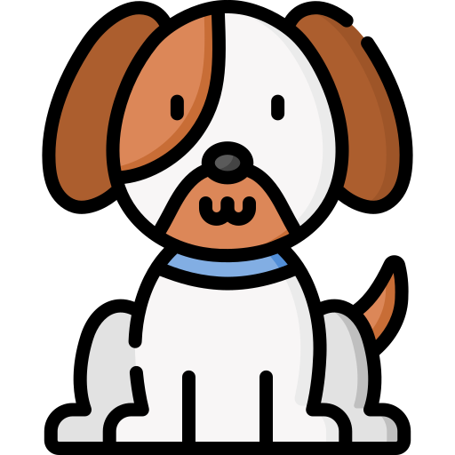 Perro