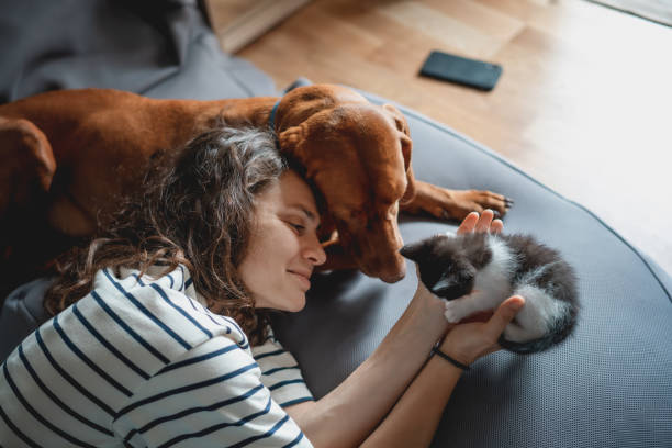 Cómo adoptar